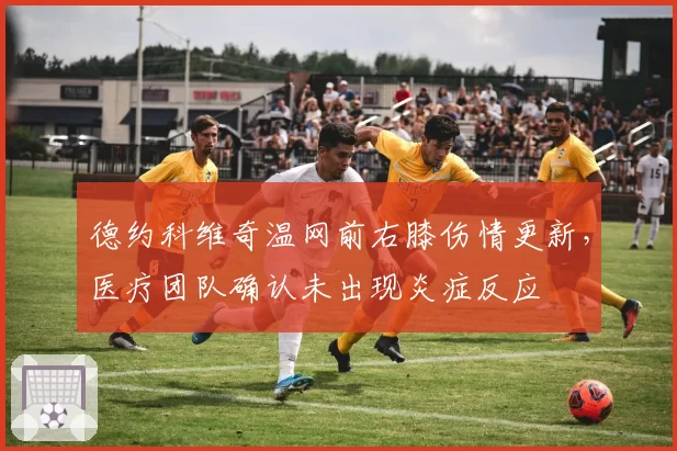 德约科维奇温网前右膝伤情更新，医疗团队确认未出现炎症反应