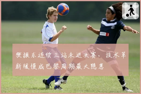 樊振东连续三站未进决赛，技术革新缓慢成巴黎周期最大隐患