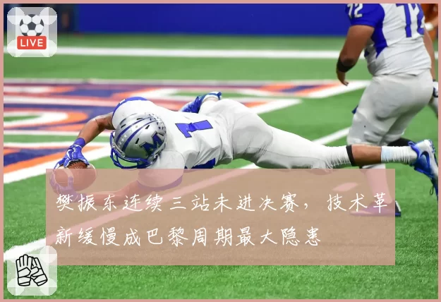 樊振东连续三站未进决赛，技术革新缓慢成巴黎周期最大隐患